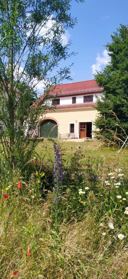 Ferienhof-Kuehn Hochkirch Zewnętrze zdjęcie