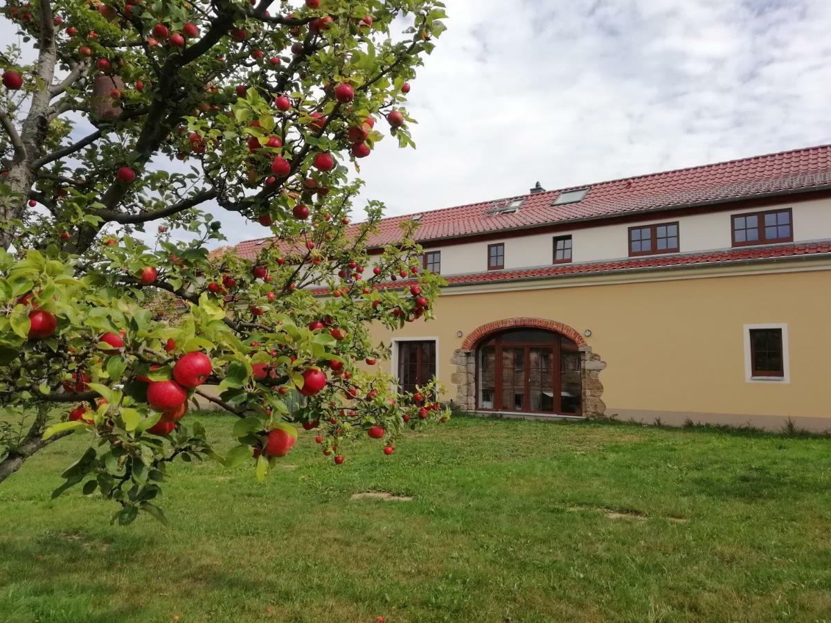 Ferienhof-Kuehn Hochkirch Zewnętrze zdjęcie